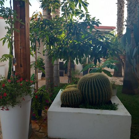 Villa Raggio Di Sole Parcheggio Privato Porto Cesareo Exterior foto