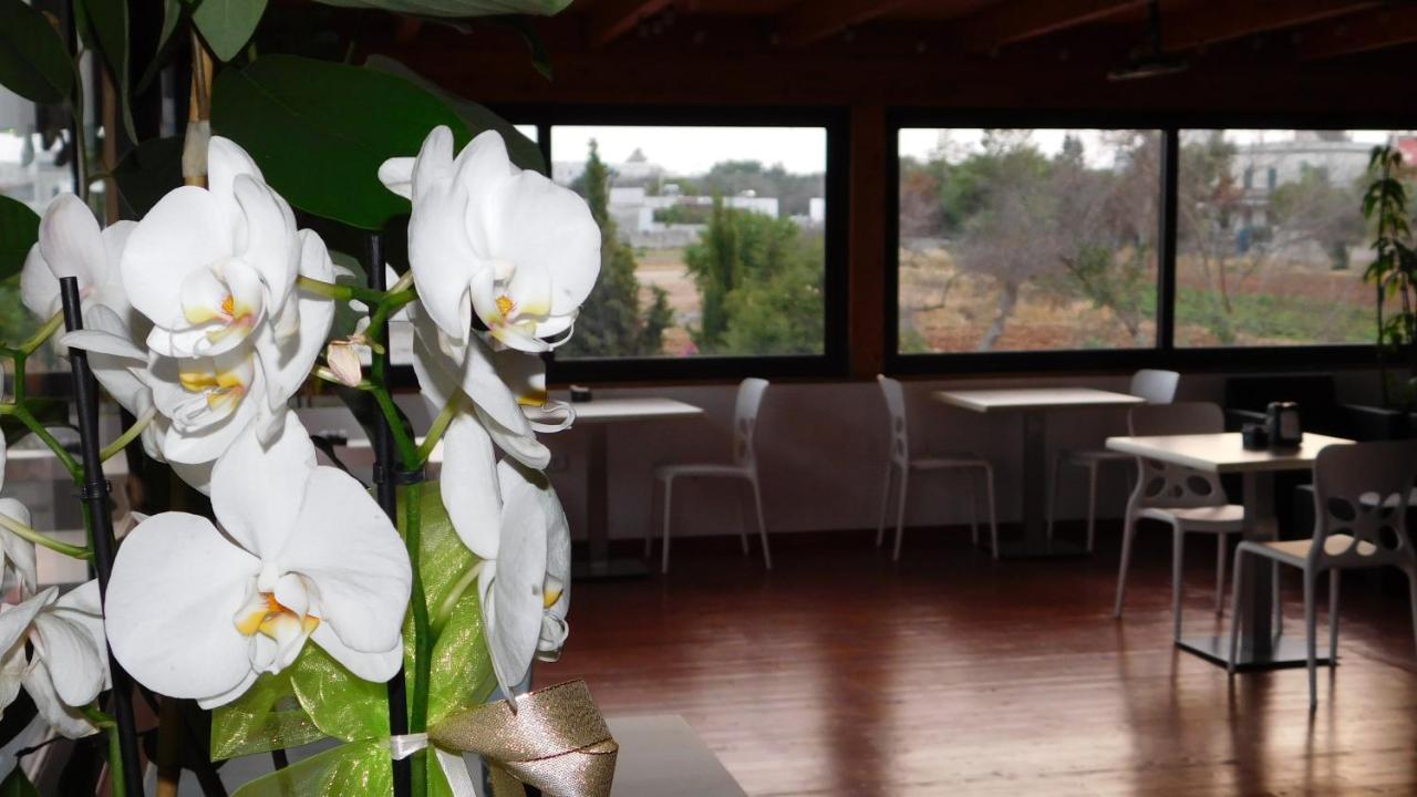 Villa Raggio Di Sole Parcheggio Privato Porto Cesareo Exterior foto