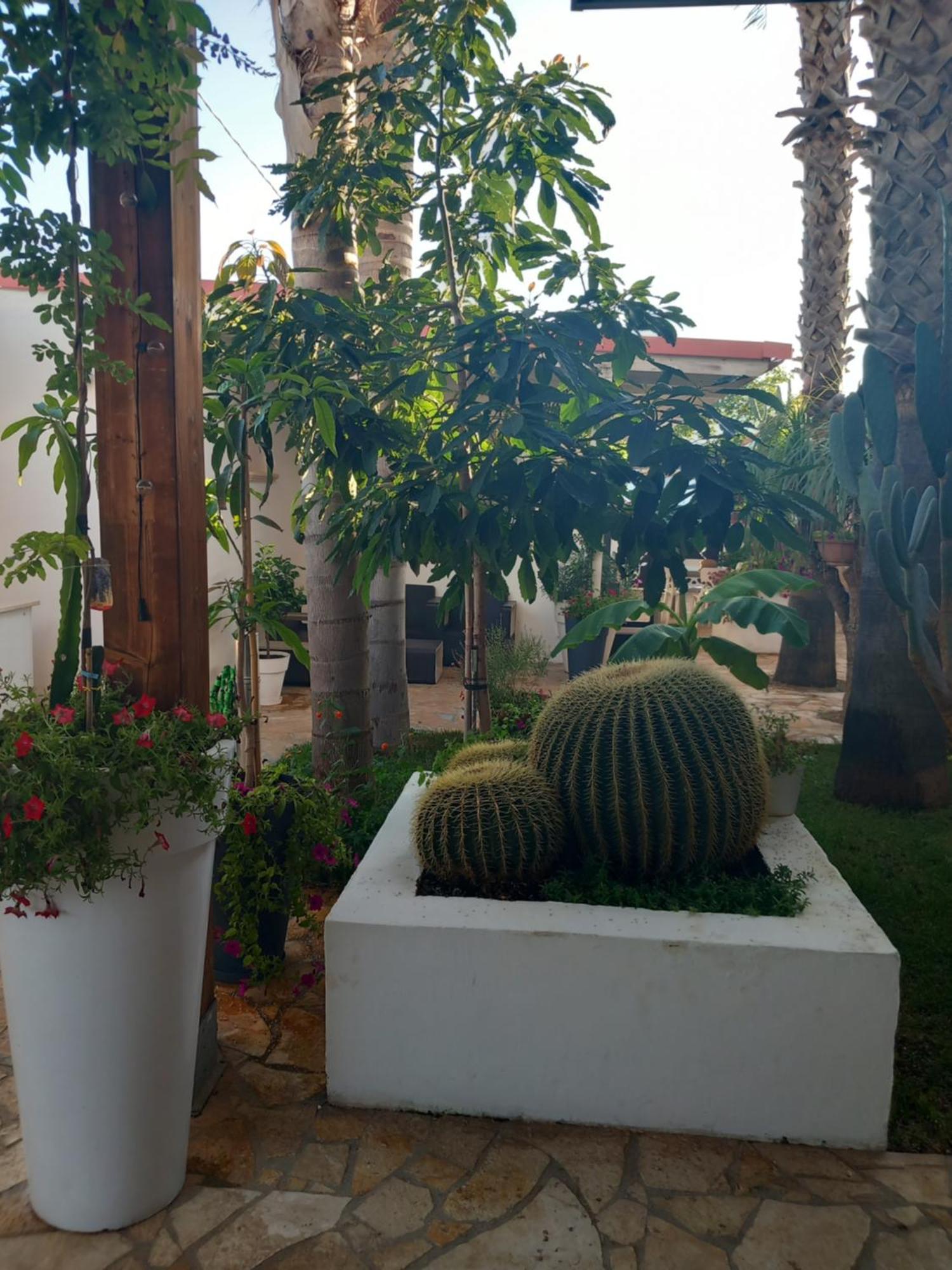 Villa Raggio Di Sole Parcheggio Privato Porto Cesareo Exterior foto